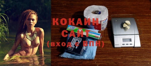 крисы Балахна
