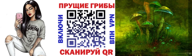 Псилоцибиновые грибы мицелий  mega ТОР  Чердынь 